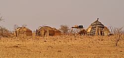 Niger, camp near Kobéri Kouara (1)