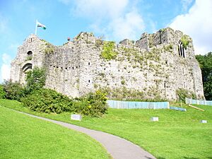 Oystermouth Castle - geograph.org.uk - 1415204