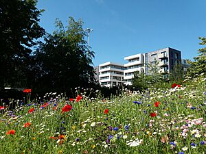 Park Place from Stevenage Town Centre Gardens