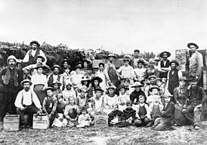 Peach harvest in San Fernando Valley (00032427)