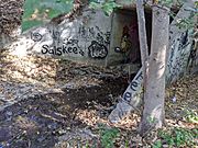 Permanente Creek under I-280