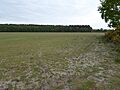 Potton Hall Fields 1