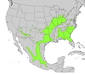 Ptelea trifoliata range map.jpg