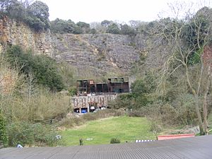 Quarry on Worlebury Hill OS ST320624