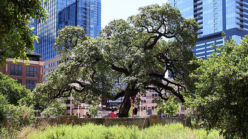 Republic Square Patio Austin 2020