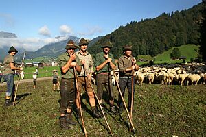 Schaufschod 2009 05