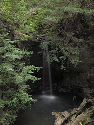 Sempervirens Falls