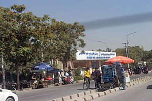 Shaheed Professor Rabbani Education University
