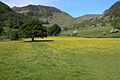 Sheffield Pike and Glencoyne - geograph.org.uk - 192937