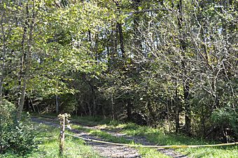 South Branch River Road entrance to Sycamore Dale.jpg