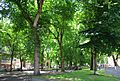 South Park Blocks at Salmon Street - Portland, Oregon