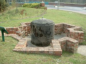 Spigot mortar emplacement, Elvetham Heath