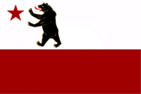 Storm Bear Flag