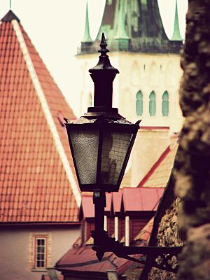 Talinn-Aare Piiroja -Vintage series