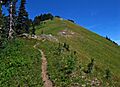 Tatoosh trail
