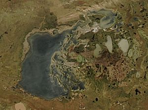 Tengiz-Korgalzhyn Lake System MODIS 250m