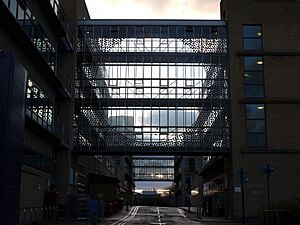 Through the University of Surrey in the evening