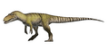 Torvosaurus tanneri Reconstruction