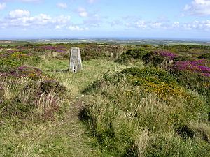Trig point within Bartine Castle, Bartinney Downs - geograph.org.uk - 40934