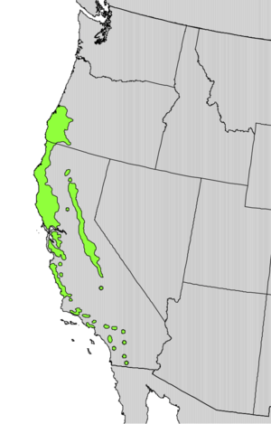 Umbellularia californica range map.png