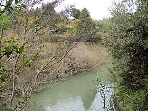 Waitetuna River about 3km from the harbour