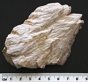 Wells Creek shatter cones 1