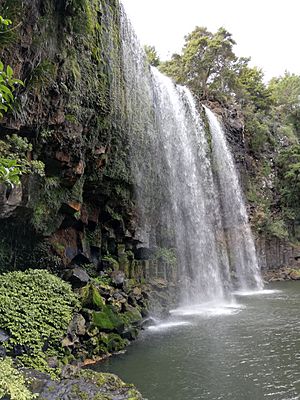 Whangarei Falls dfs