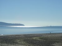 Photo of beach in Puget Sound