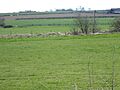 Wollaston Meadows 5