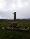 30. Tully Burial Ground & Lehaunstown High Crosses.jpg
