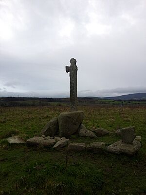 30. Tully Burial Ground & Lehaunstown High Crosses