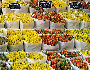 Amsterdam- Floating Tulip Shop