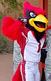 Big Red Cardinals Training Facility April 21, 2009