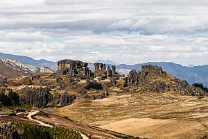 Bosque de piedras del Cumbemayo 01