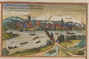 Braun Frankfurt an der Oder UBHD