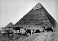 COLLECTIE TROPENMUSEUM De piramides van Gizeh TMnr 60022554
