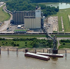 Cargill grain elevator and terminal