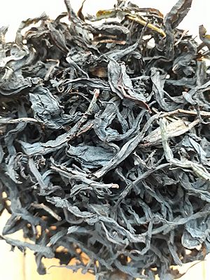 Chamerion angustifolium (inflorescense) fermented tea