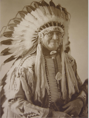 Chief Luther Standing Bear