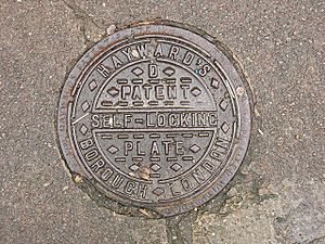 Coal-hole cover - geograph.org.uk - 1766029
