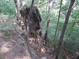 Columnar Jointing in the Palisades Sill