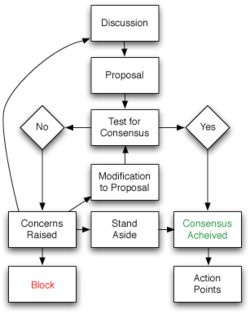consensus decision making flowchart kids process facts basic