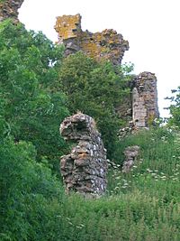 Craigie Castle - Entrance pend