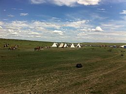 Custer's Last Stand Reenactment 2013 (Hardin, Montana) 001