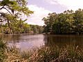 DunnsCreekStateParkCreek