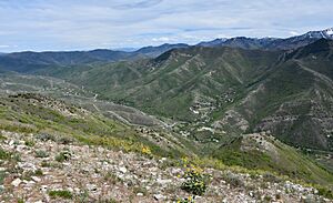 Emigration Canyon, Utah - 17 May 2020