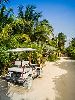 Golfcar Holbox island Mexico (20153467086)