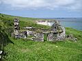 Great Blasket Island