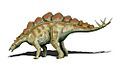 Hesperosaurus NT
