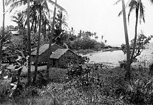 Houses on the beach on Erub Island, 1949